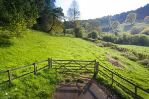 Smaller Paddock- click for photo gallery